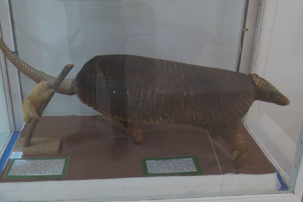 IPHAN visita Museu Integrado de Roraima e governo prepara projeto para nova sede