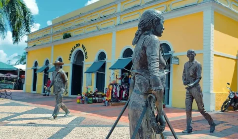 Novo Mercado Velho: O Coração Histórico e Cultural de Rio Branco