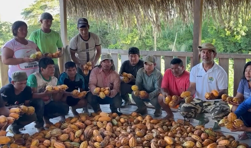 Acre fortalece produção de cacau nativo e prepara lançamento do primeiro Quali Cacau