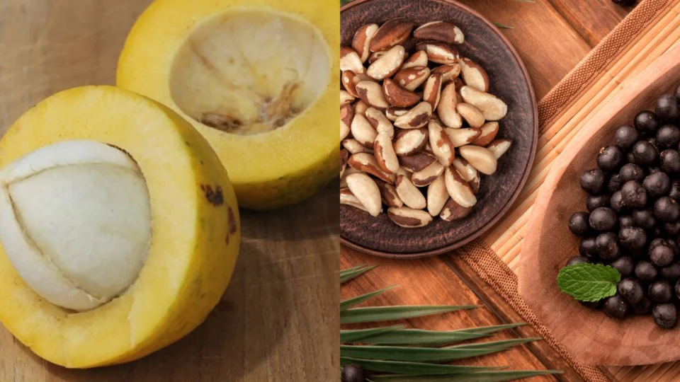 Alimentos da Amazônia reforçam saúde e mantêm viva os saberes tradicionais