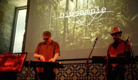 Som da natureza: projeto une arte e ciência na COP30 para despertar consciência ambiental