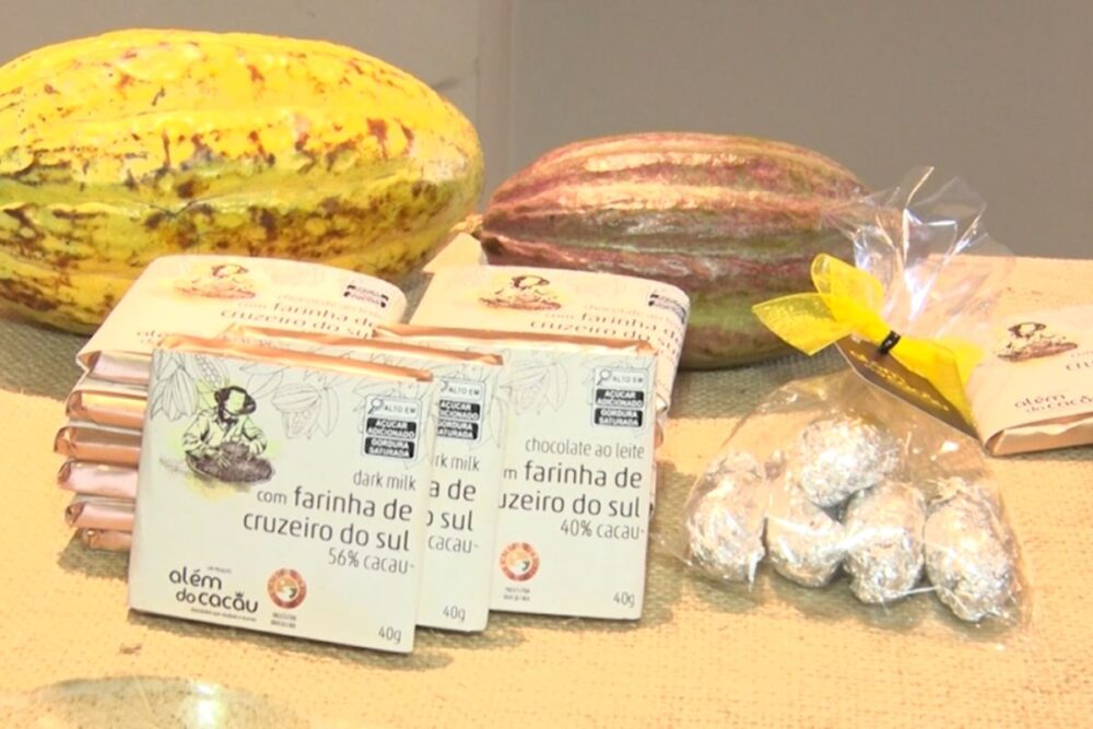 Acre fortalece produção de cacau nativo e prepara lançamento do primeiro Quali Cacau
