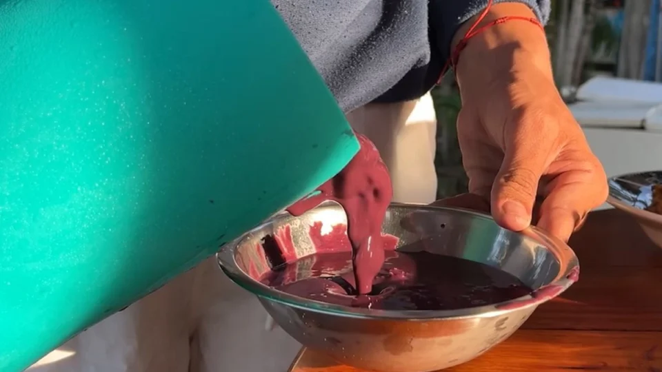 Açaí vira “ouro roxo” e impulsiona renda sustentável na comunidade Bom Jesus, no Amazonas