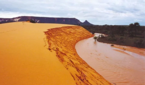 Tocantins se consolida como destino de ecoturismo com crescimento de 30% no setor