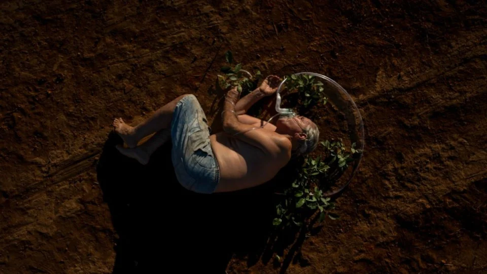 Exposição provoca reflexão sobre o impacto humano no planeta