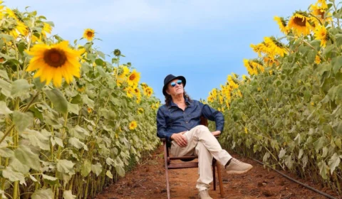 Turnê “Alceu Valença 80 Girassóis” chega a Belém em 30 de maio de 2026