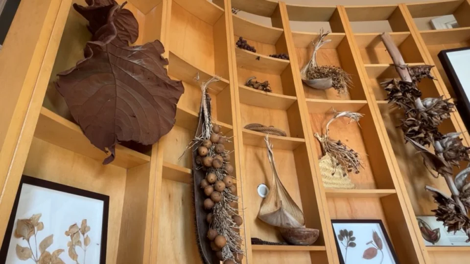 Museu da Cidade de Manaus convida o público a uma viagem sensorial pela história amazônica