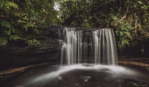 Onde o sol se põe por último no Brasil: a jornada pela Serra do Divisor, no Acre