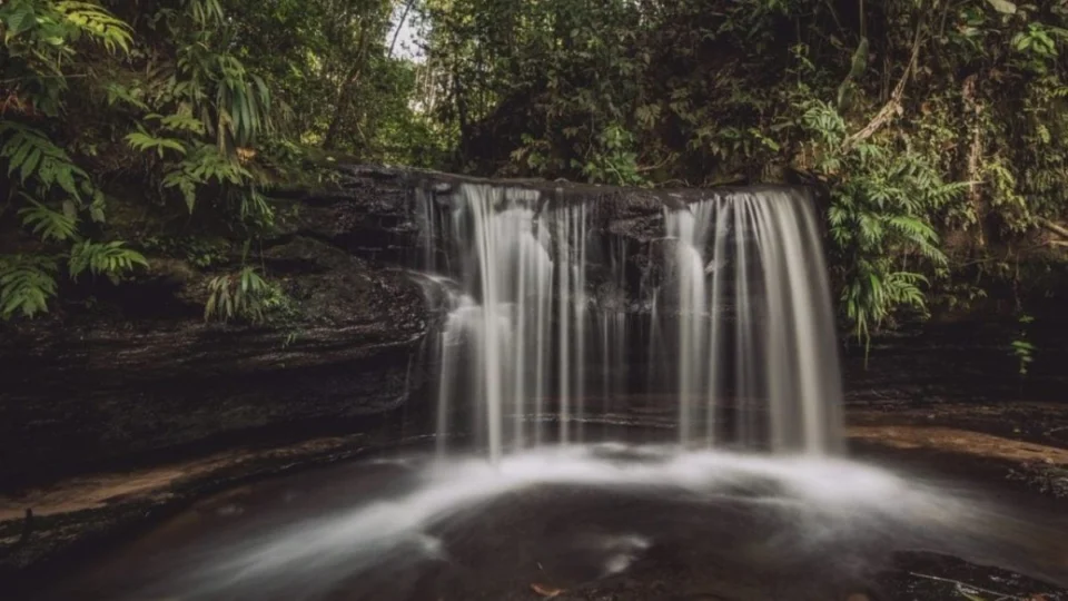 Onde o sol se põe por último no Brasil: a jornada pela Serra do Divisor, no Acre