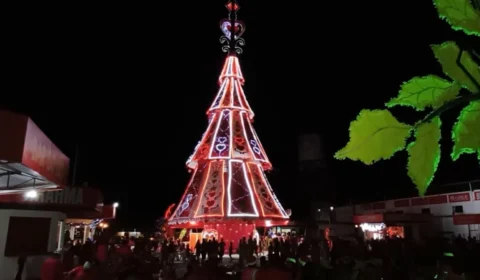Natal Vermelho e Branco ilumina Parintins com maior árvore natalina do Boi Garantido
