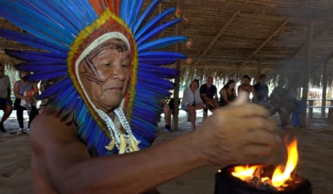 Safári amazônico transforma passeio em imersão cultural no coração da floresta