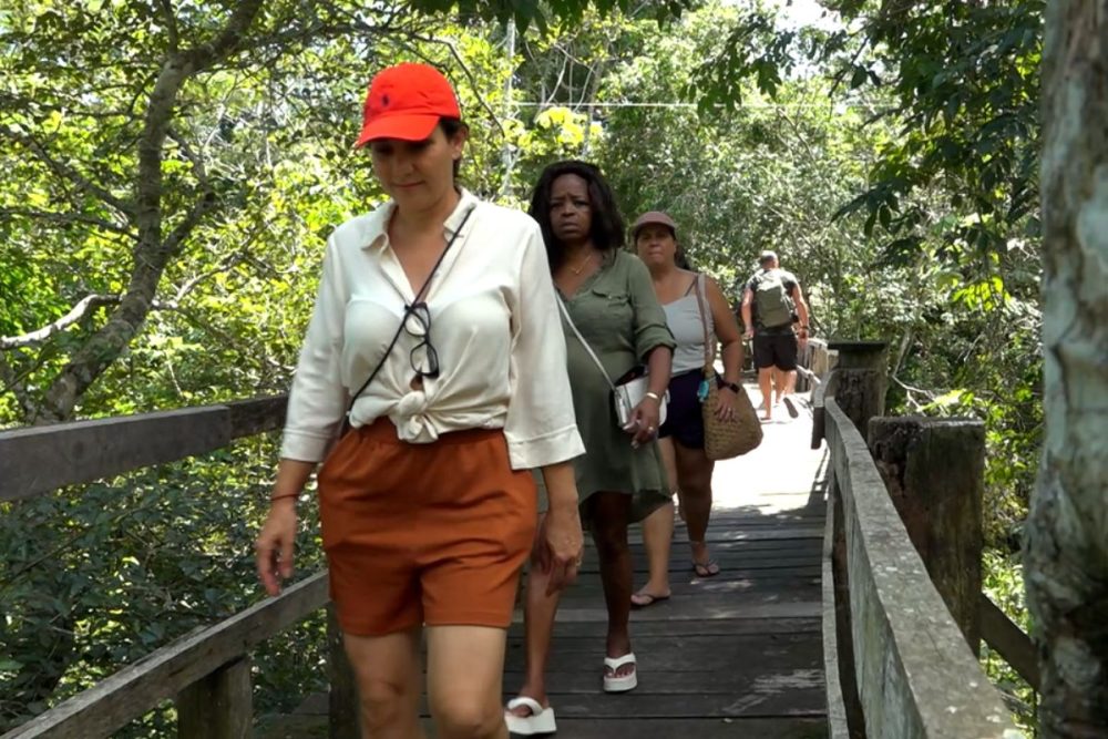 Safári amazônico transforma passeio em imersão cultural no coração da floresta