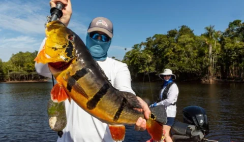 Pesca esportiva no Brasil: turismo, sustentabilidade e geração de renda de até R$ 3 bilhões por ano