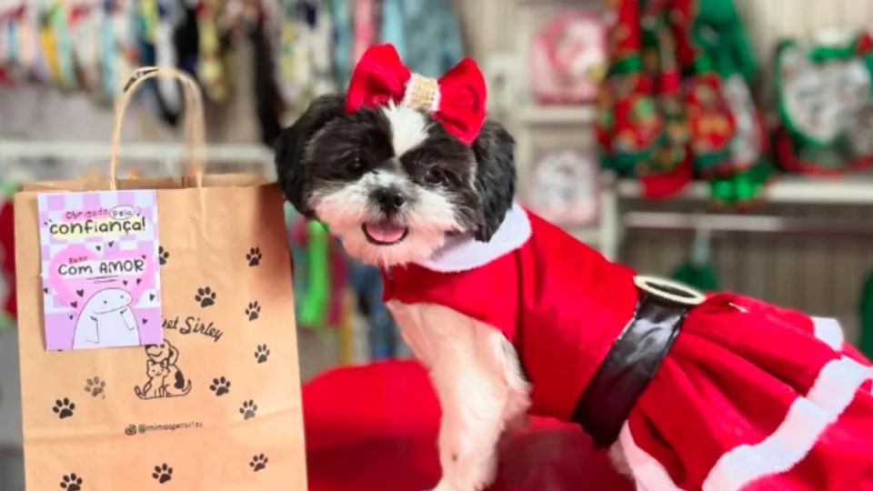 Entre linhas, tecidos e muito amor: como nasceu um ateliê que veste pets para as festas