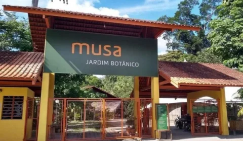 Museu da Amazônia recebe licença e passa a operar como jardim zoológico em Manaus