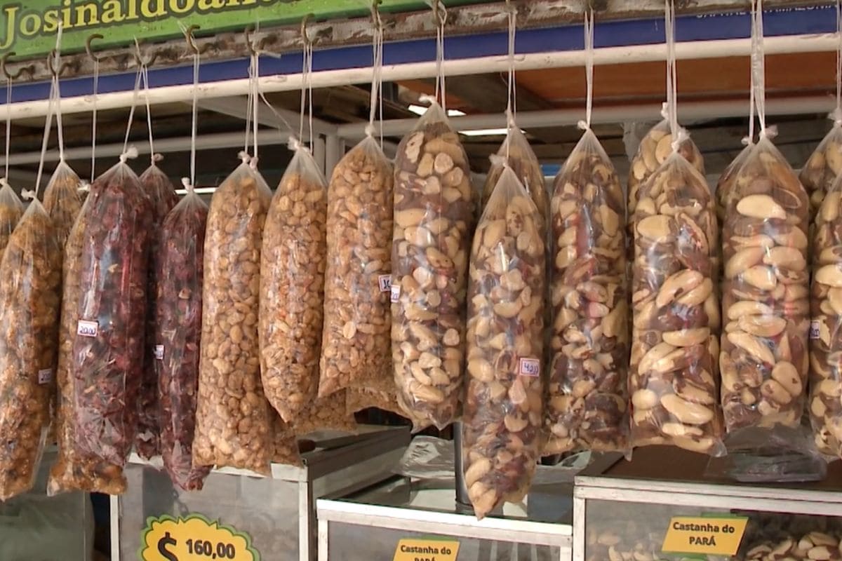 Do peixe ao açaí: Ver-o-Peso vive nova fase e movimenta R$ 1 milhão por dia