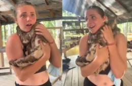 Turista é surpreendida por abraço de bicho-preguiça durante visita à Amazônia