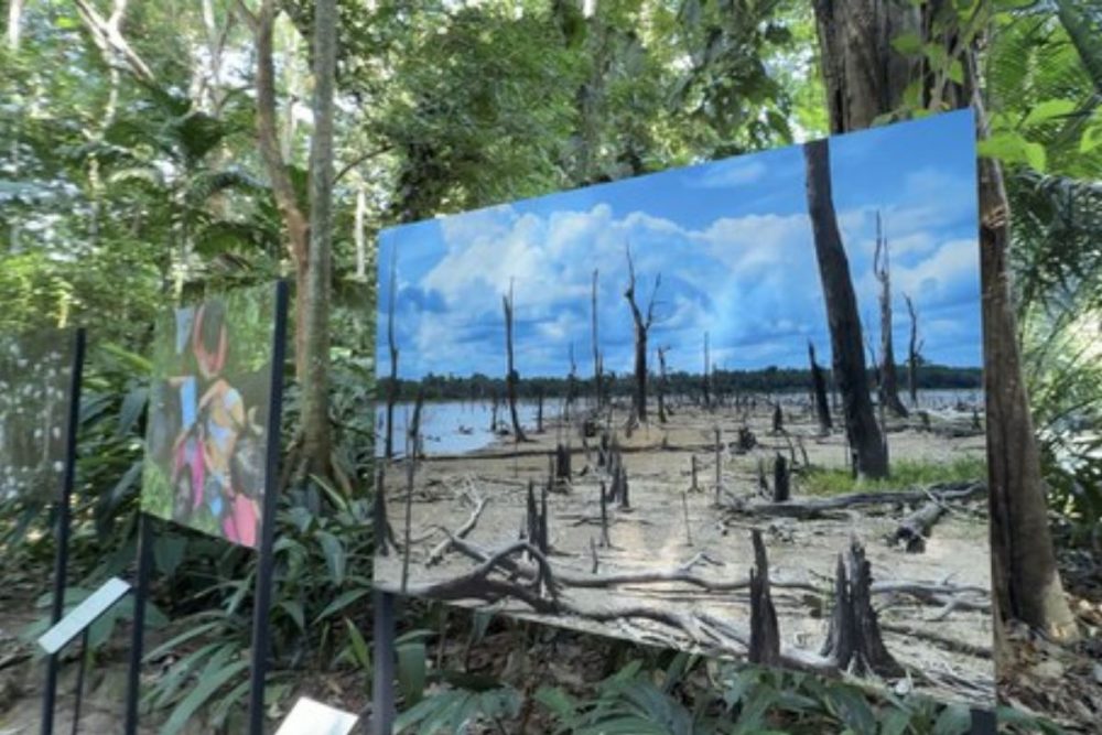 Bosque da Ciência abre exposição fotográfica que revela a Amazônia sob o olhar da ciência