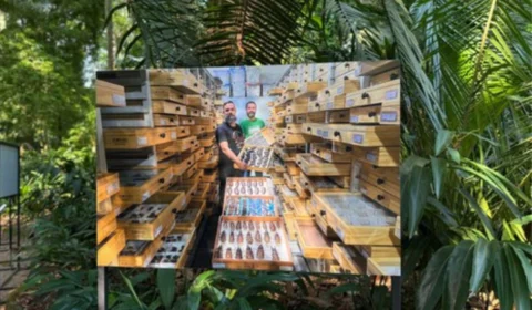 Bosque da Ciência abre exposição fotográfica que revela a Amazônia sob o olhar da ciência