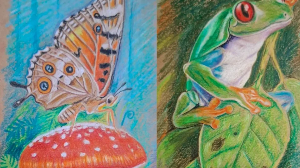 Série Paraíso Verde destaca a riqueza da floresta acreana no Museu dos Povos Acreanos