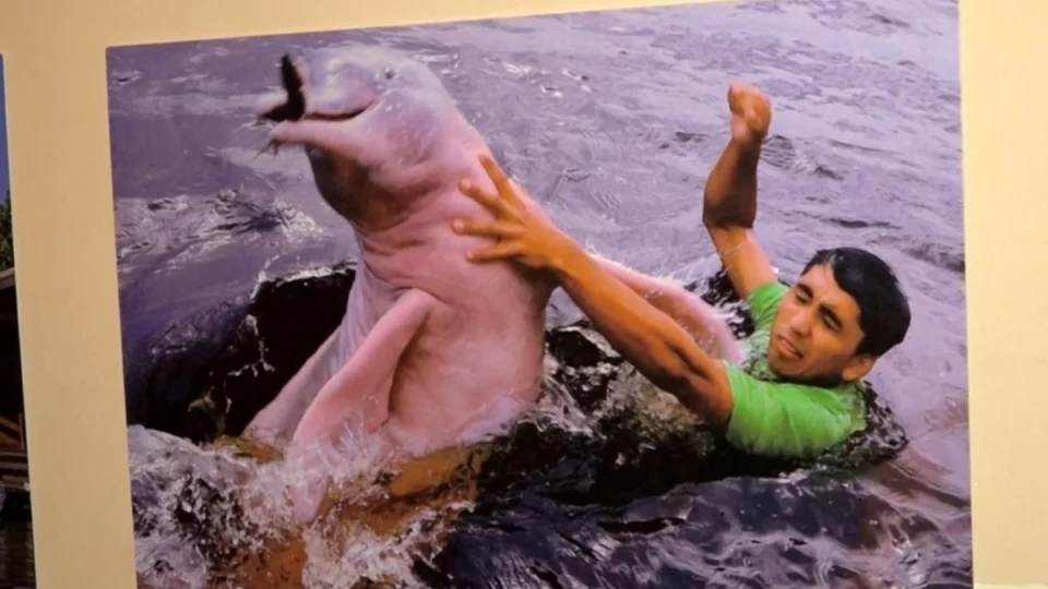 “Múltiplos Olhares Amazônicos”: exposição transforma Palácio da Justiça em imersão visual pela Amazônia