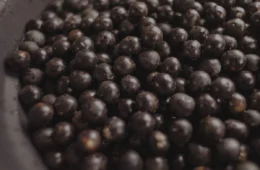 Entressafra eleva preço do açaí e preocupa vendedores e consumidores no Pará