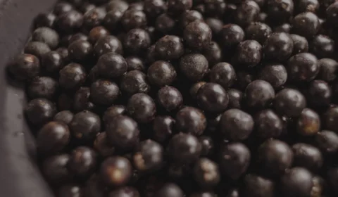 Entressafra eleva preço do açaí e preocupa vendedores e consumidores no Pará