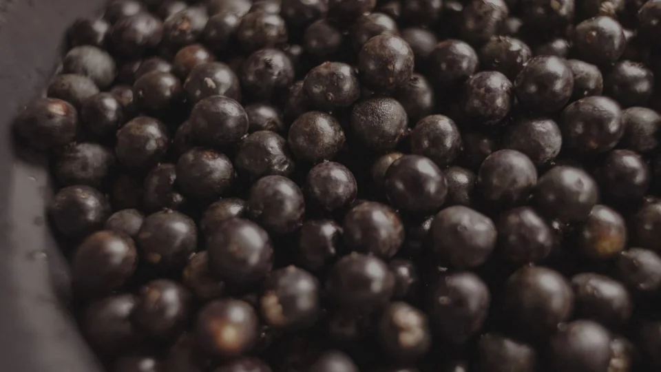 Entressafra eleva preço do açaí e preocupa vendedores e consumidores no Pará