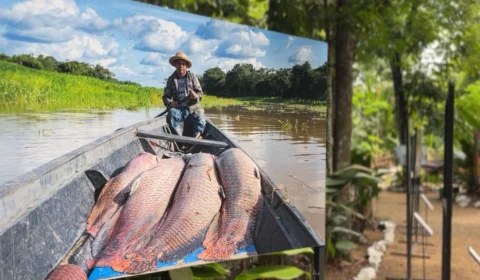Exposição “Amazônia a Olhos Vistos” chega ao Bosque da Ciência