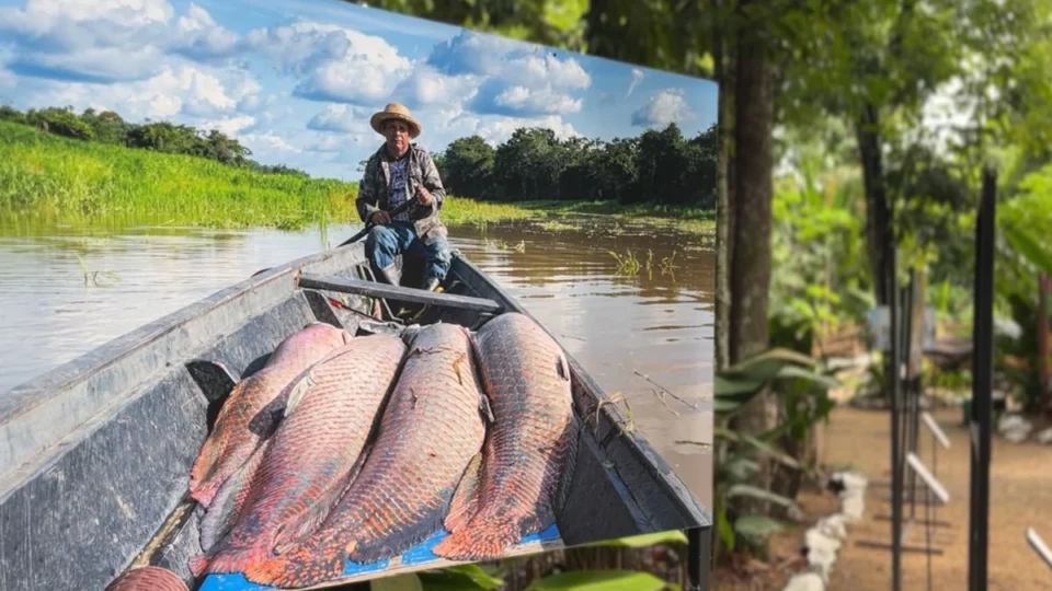 Exposição “Amazônia a Olhos Vistos” chega ao Bosque da Ciência