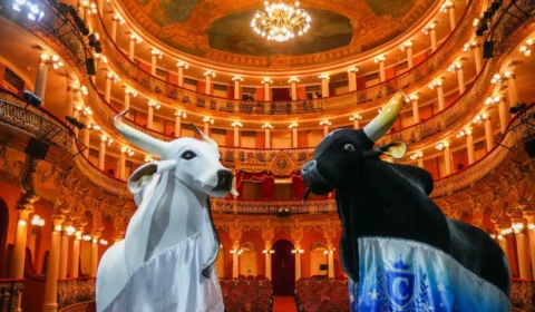 Inscrições abertas para a 1ª Teia Amazonas, encontro que fortalece a Cultura do estado