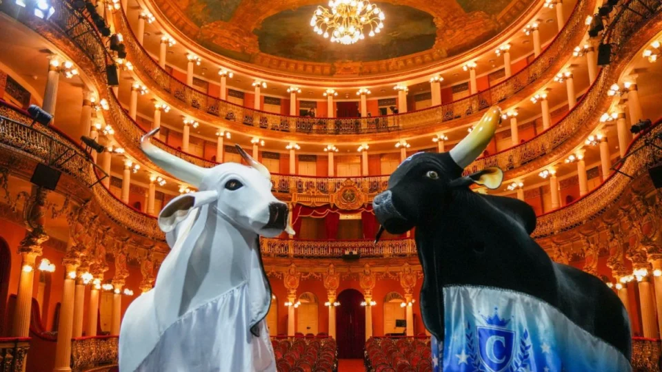 Inscrições abertas para a 1ª Teia Amazonas, encontro que fortalece a Cultura do estado