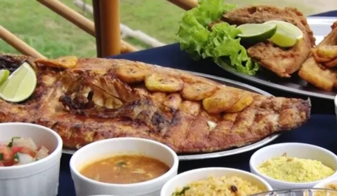 Gastronomia amazônica impulsiona turismo de experiência em Porto Velho