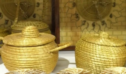 Capim dourado transforma tradição em sustento e símbolo cultural no Tocantins