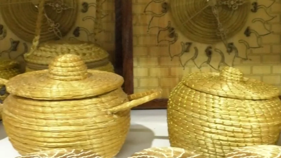 Capim dourado transforma tradição em sustento e símbolo cultural no Tocantins