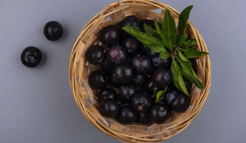 Pará concentra 90% da produção nacional de açaí, aponta levantamento