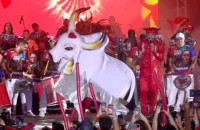 Norte Bumbás 2026 acontece em maio com tema “Sinfonia Amazônica”