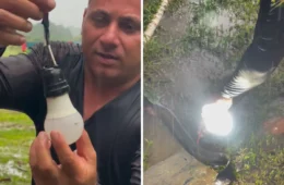 Vídeo mostra momento em que poraquê acende lâmpada em comunidade rural