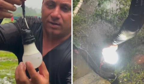 Vídeo mostra momento em que poraquê acende lâmpada em comunidade rural
