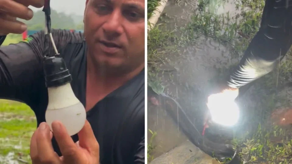 Vídeo mostra momento em que poraquê acende lâmpada em comunidade rural