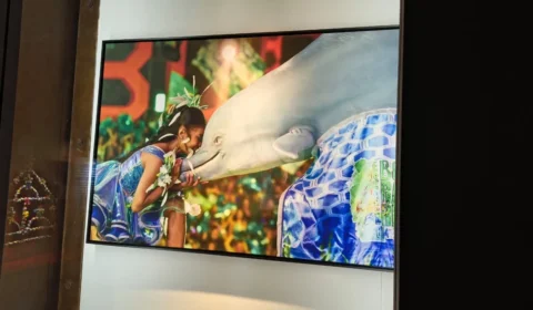 Sairé ganha exposição no Museu de Arte Sacra de São Paulo