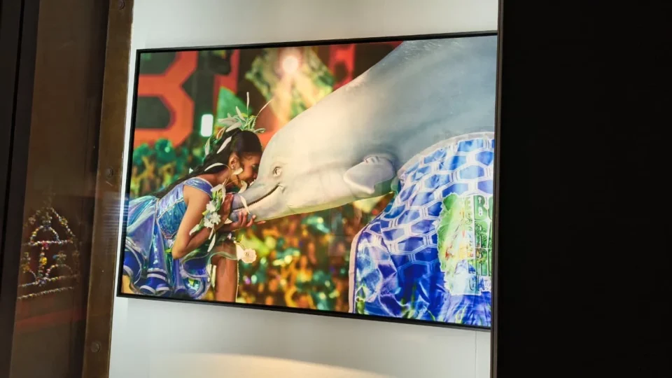 Sairé ganha exposição no Museu de Arte Sacra de São Paulo