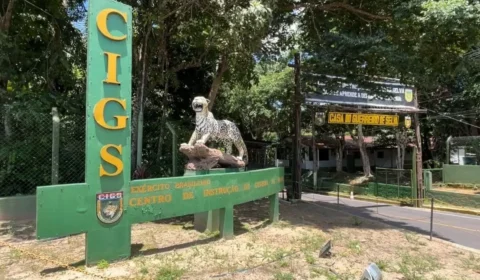 Zoológico do CIGS reforça cuidados com a fauna após vídeo com urubus gerar debate