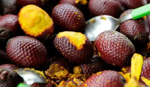 Buriti o fruto amazônico rico em vitamina A