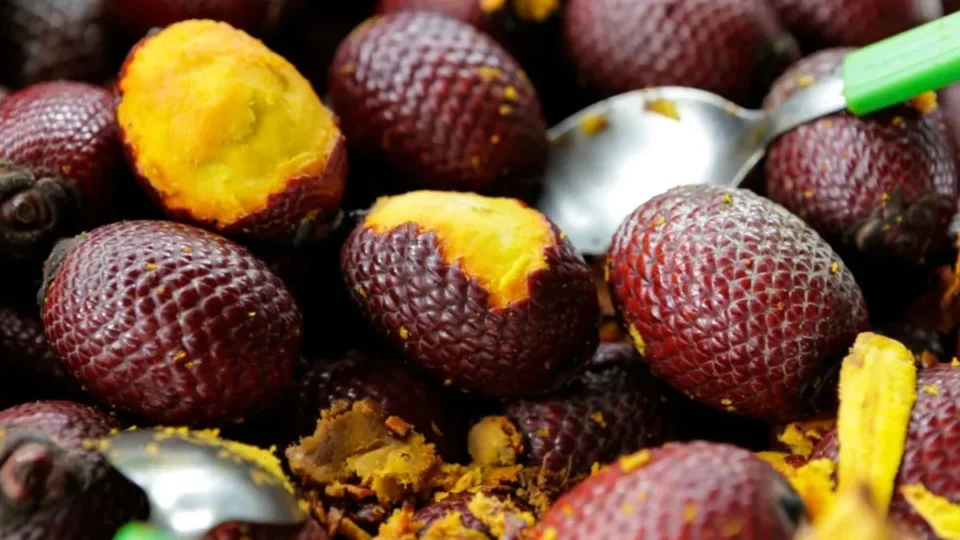 Buriti o fruto amazônico rico em vitamina A