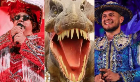 Fim de semana em Manaus traz cinema de terror, exposição e programação de boi-bumbá