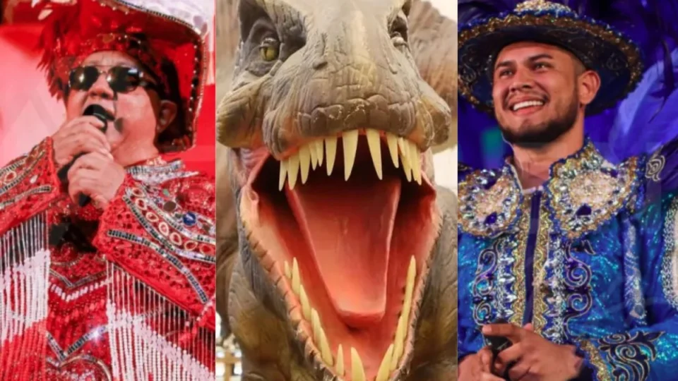 Fim de semana em Manaus traz cinema de terror, exposição e programação de boi-bumbá