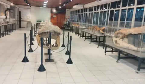 Após quase 2 anos, exposição de fósseis no laboratório da UFAC reabre para o público