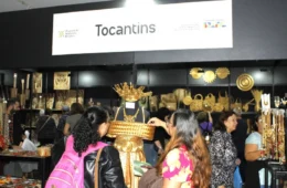 Secult abre edital para selecionar artesãos do Tocantins para feira nacional em São Paulo