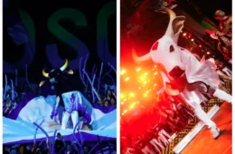 Veja as datas de ensaio dos bois-bumbás em Manaus